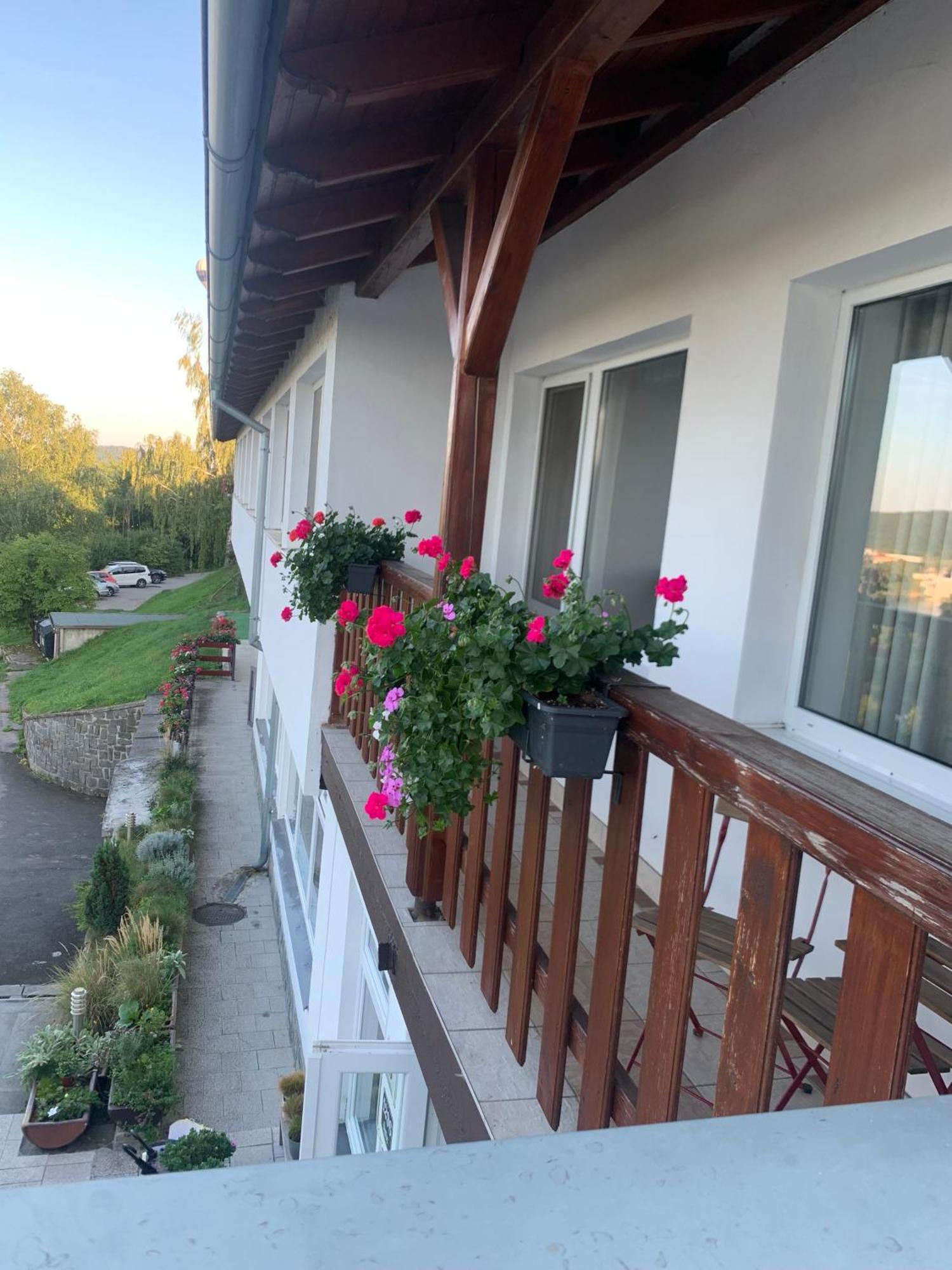 Penzion Kozi Horka U Brnenske Prehrady Brno Luaran gambar